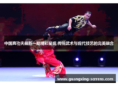 中国真功夫最新一期精彩呈现 传统武术与现代技艺的完美融合