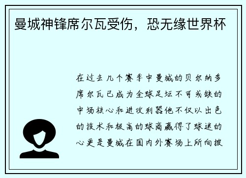 曼城神锋席尔瓦受伤，恐无缘世界杯