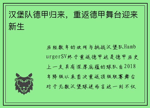 汉堡队德甲归来，重返德甲舞台迎来新生